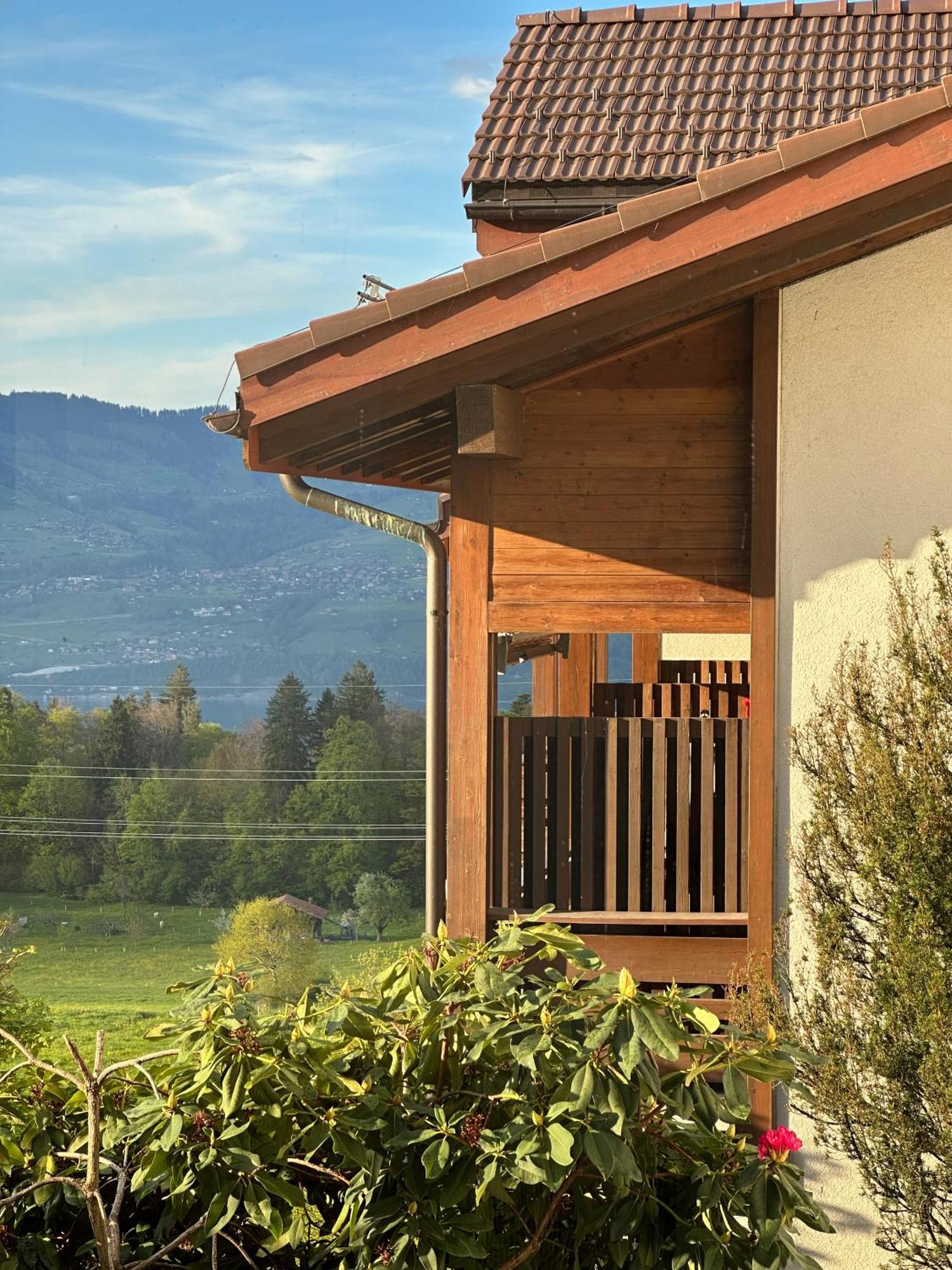 Hotel Aeschipark Aeschi Bei Spiez エクステリア 写真