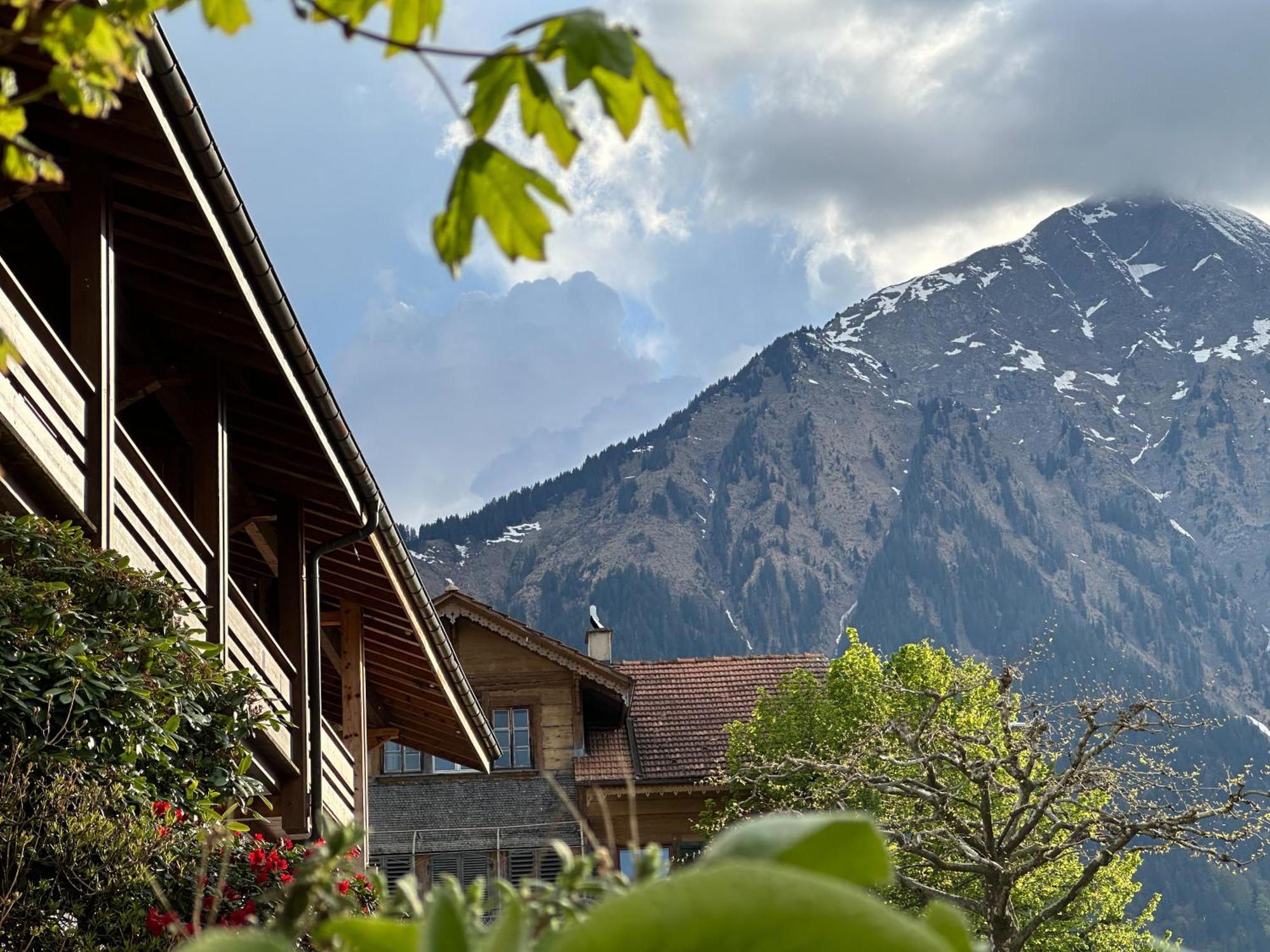 Hotel Aeschipark Aeschi Bei Spiez エクステリア 写真